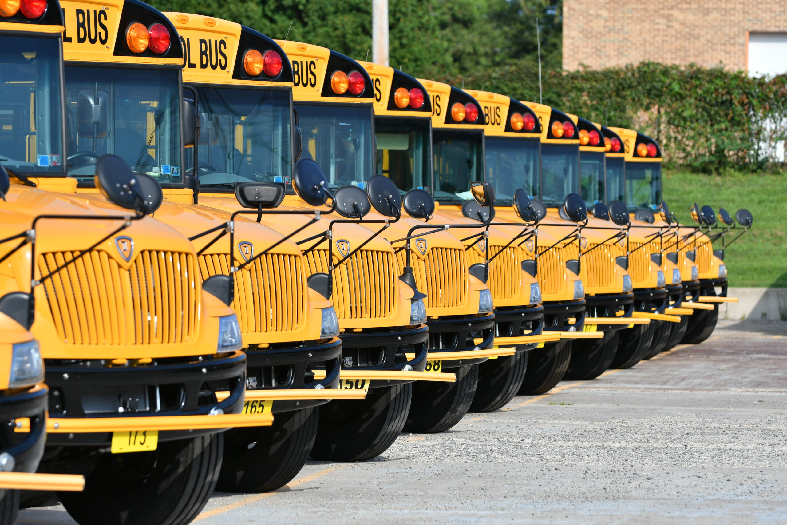 Fleet of yellow school buses lined up in a row